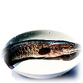 food-fish-snakehead.jpg (12487 bytes)